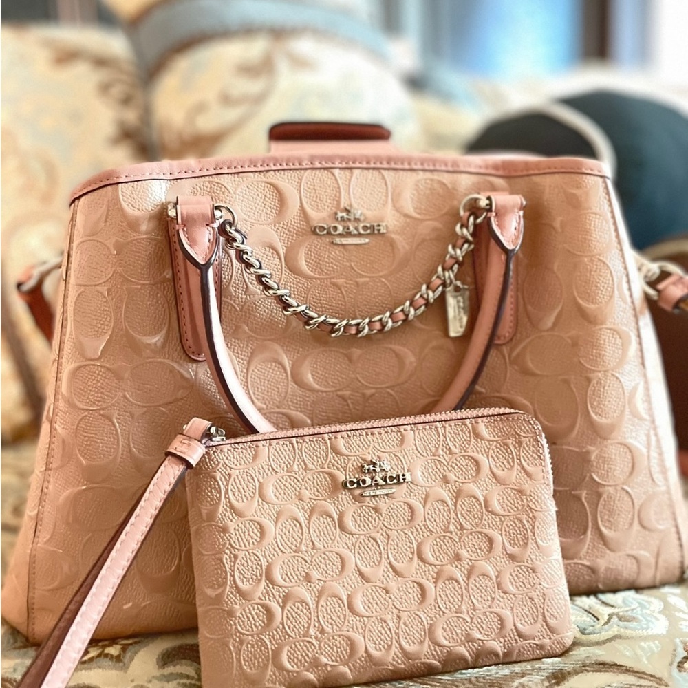 Michael Kors purse with matching wallet
